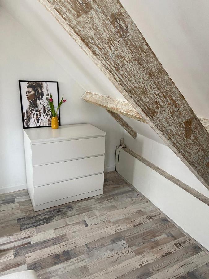 Zilvermeeuw Bergen aan Zee Dış mekan fotoğraf