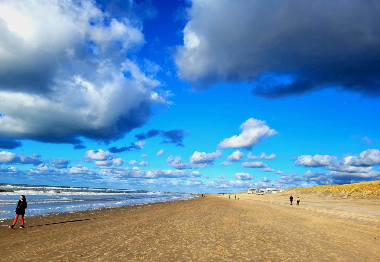 Zilvermeeuw Bergen aan Zee Dış mekan fotoğraf