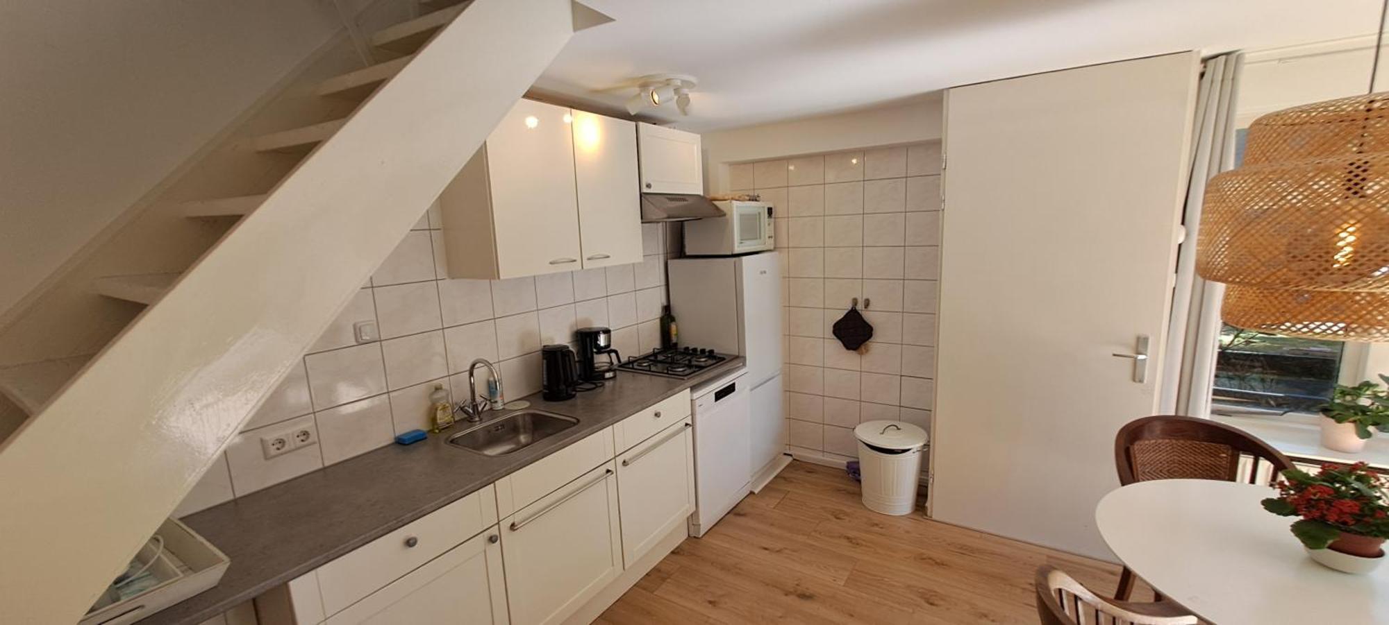 Zilvermeeuw Bergen aan Zee Dış mekan fotoğraf
